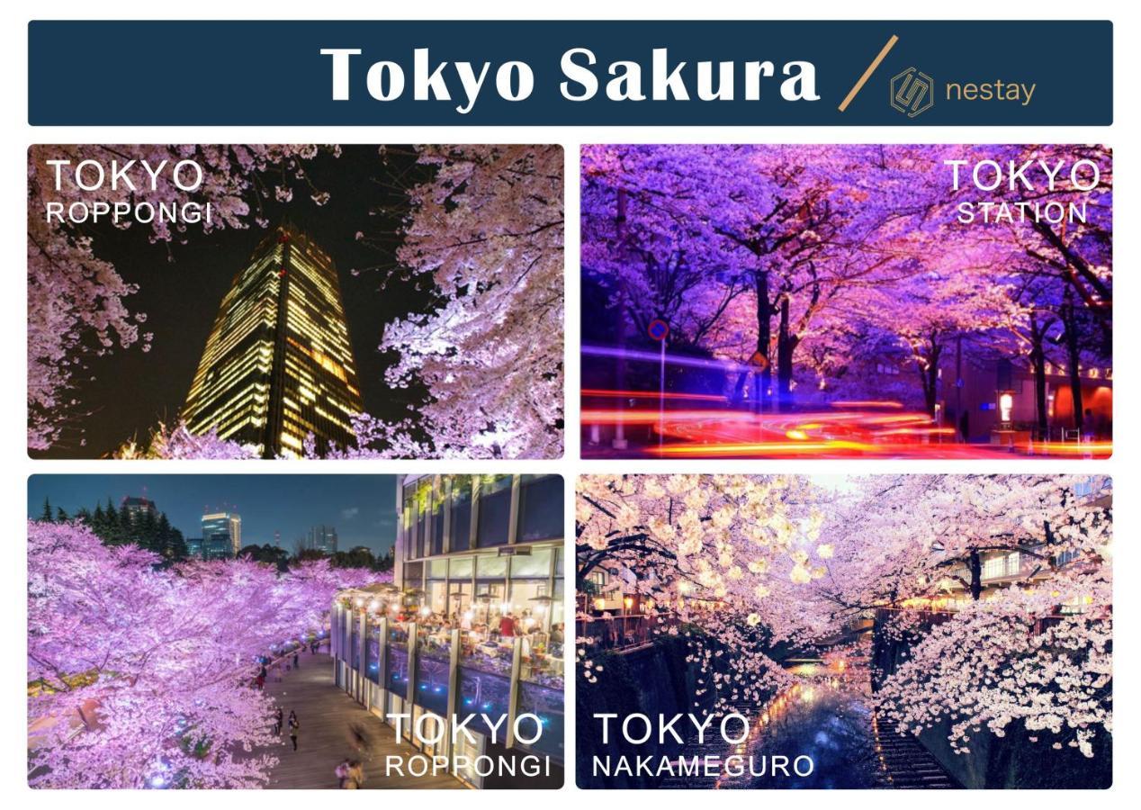 Nestay Inn Tokyo Otsuka 201 외부 사진