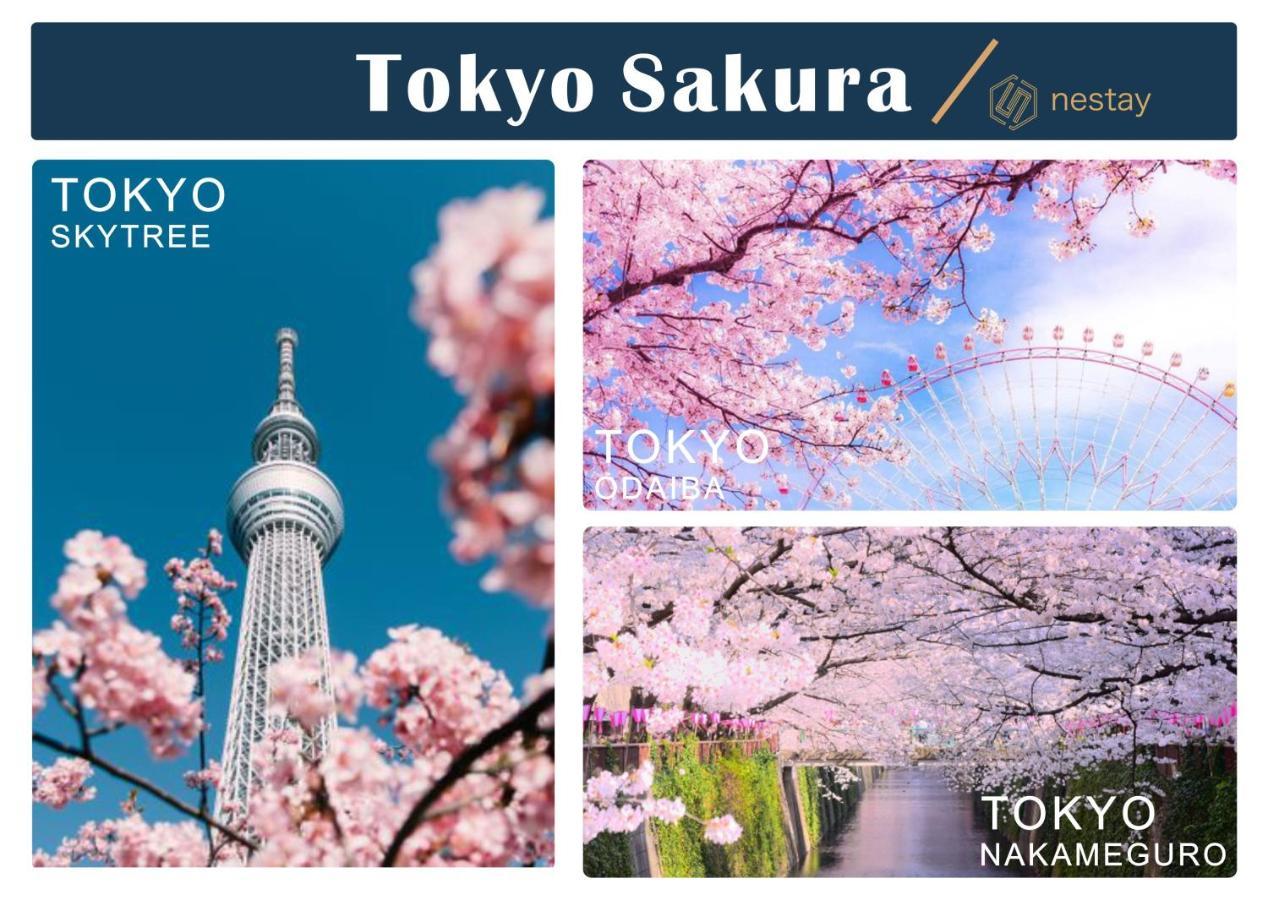 Nestay Inn Tokyo Otsuka 201 외부 사진
